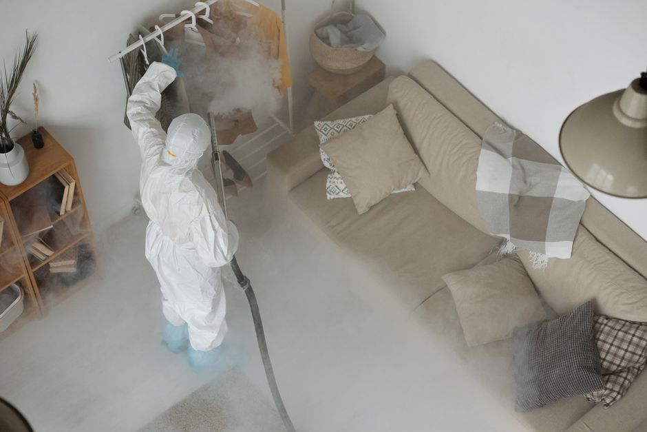 Deep steam cleaning process on a textured carpet